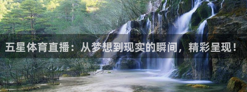 体育新闻