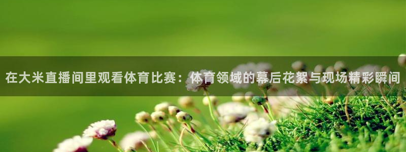 体育新闻