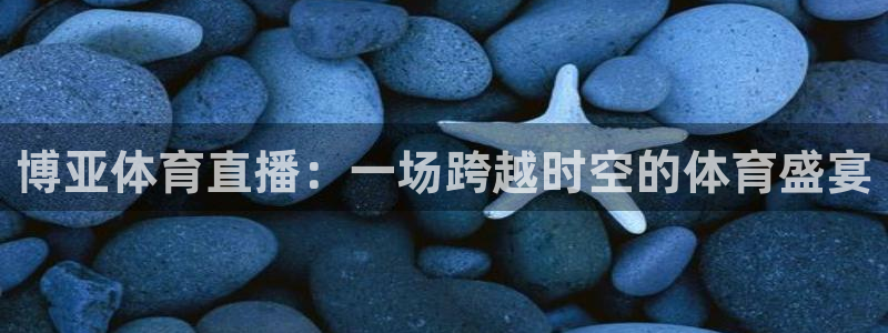 体育新闻